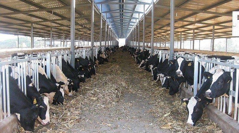 艾思捷定制款PGV035系列減速機--應用在畜牧業、飼料行業 (2).jpg